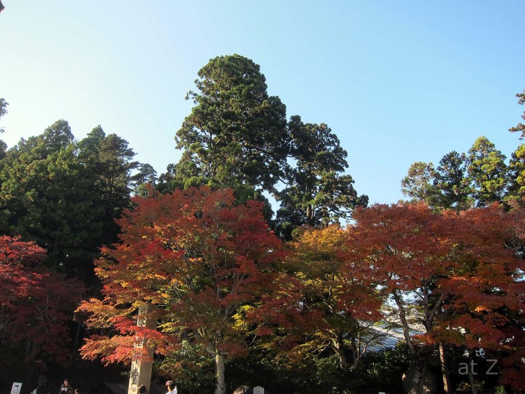 延暦寺の紅葉のシーズンイン状態