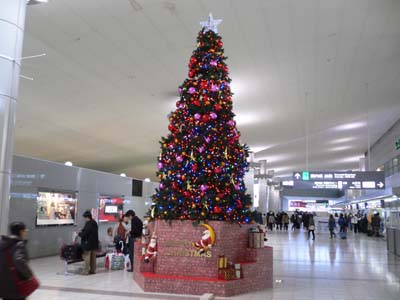 広島空港のツリー